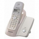  DECT Panasonic 205 RUW