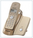  DECT Panasonic 207 RUJ