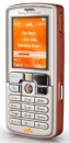   GSM SonyEricsson W800i